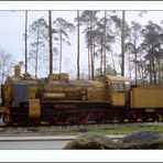 Es war einmal da stand die 38 2267 noch im Kiefernwald