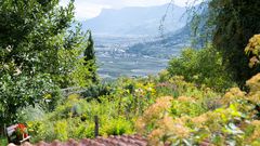 Es war einmal ein Bauerngarten