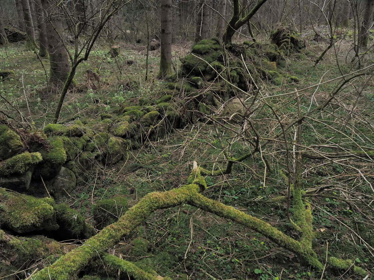 Es war einmal ein Bauernhof im finstren Wald