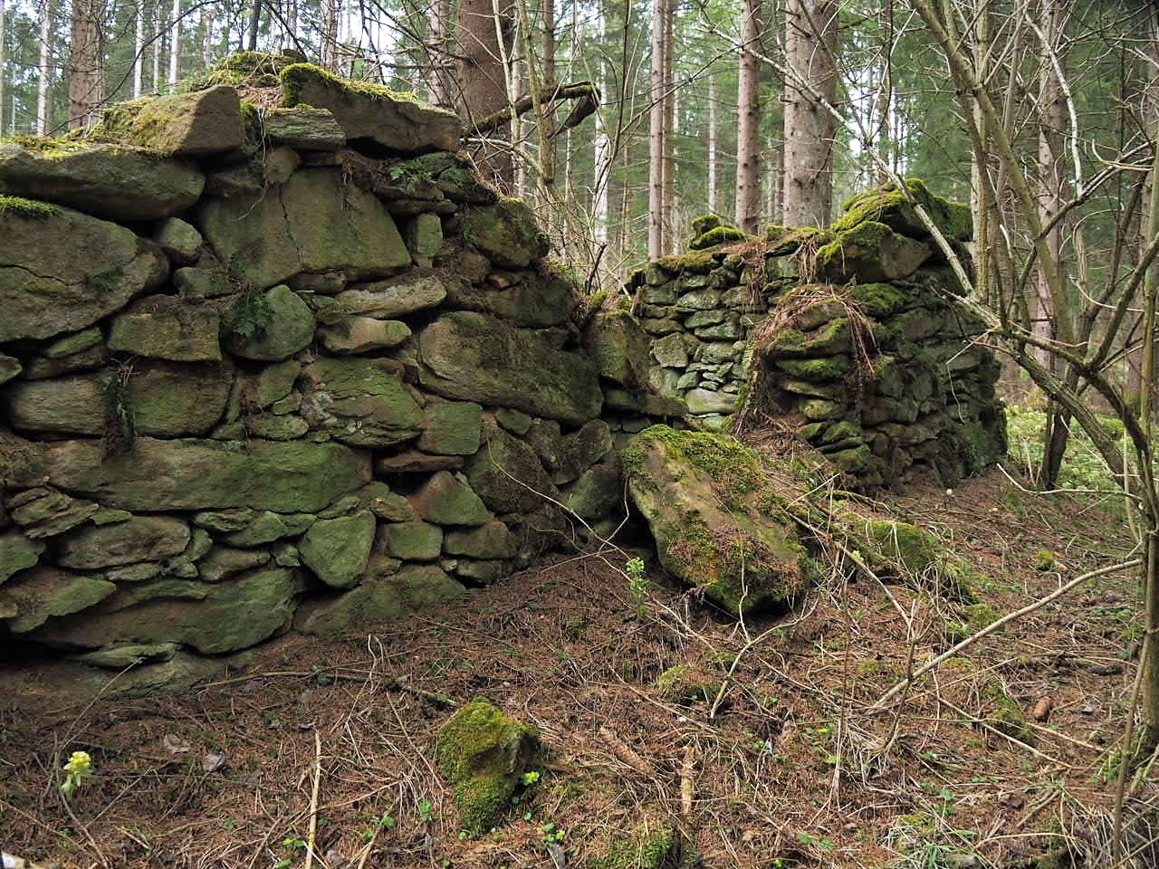 Es war einmal ein Bauernhof im finstren Wald