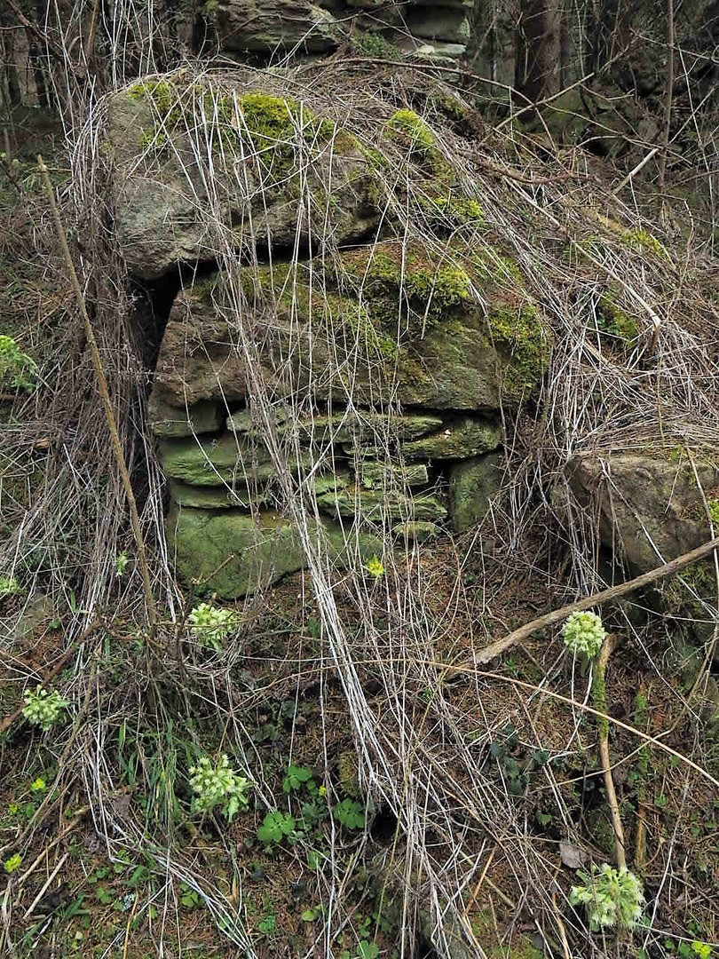 Es war einmal ein Bauernhof im finstren Wald