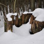 Es war einmal ein Baum