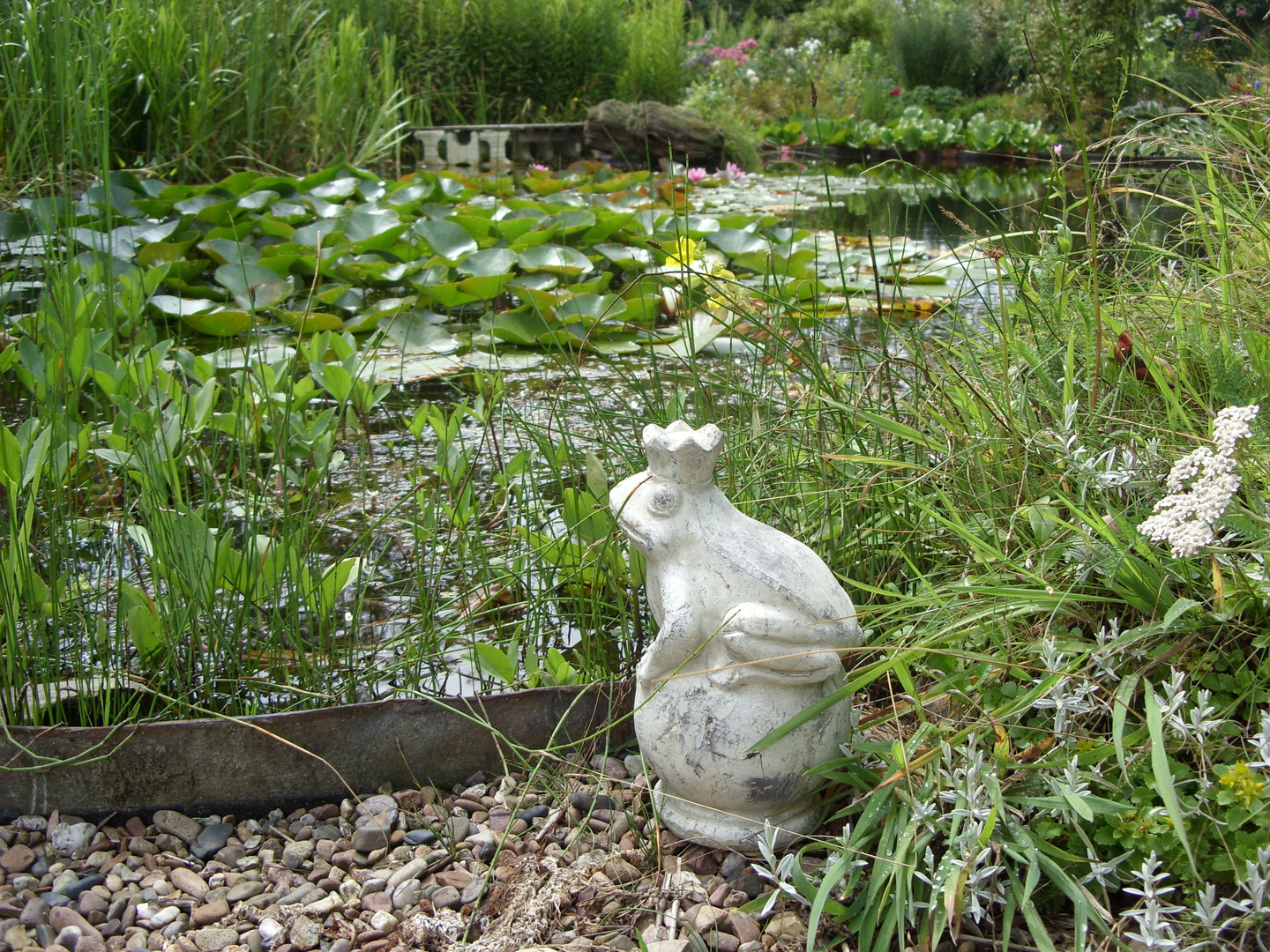 Es war einmal ein Froschkönig