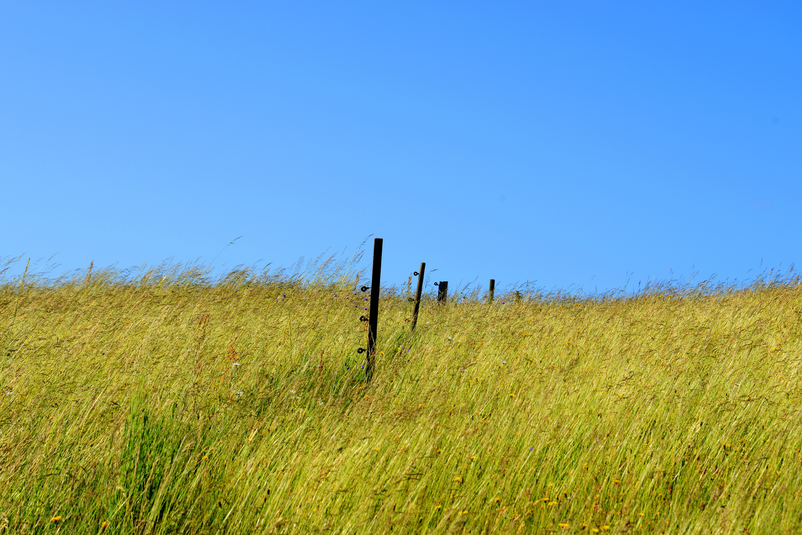 Es war einmal ein Sommer....