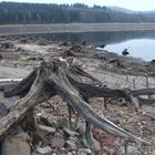 Es war einmal ein Wald (Blick über die Talsperre Eibenstock)