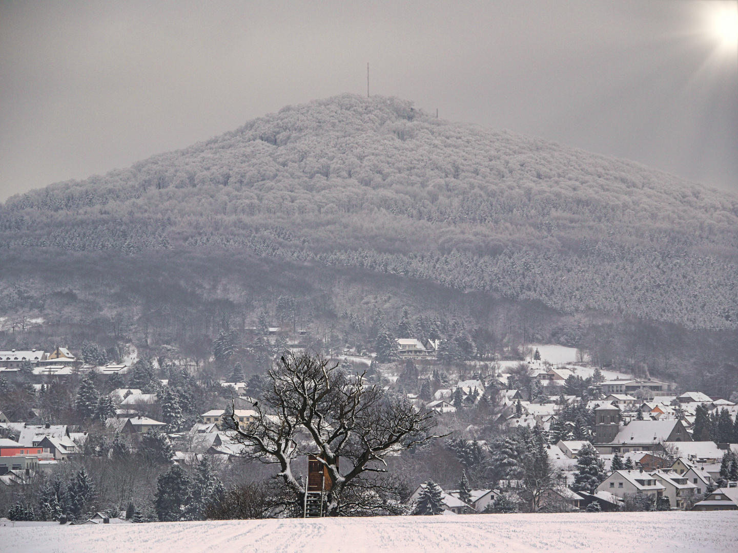 Es war einmal ein Winter im Siebengebirge