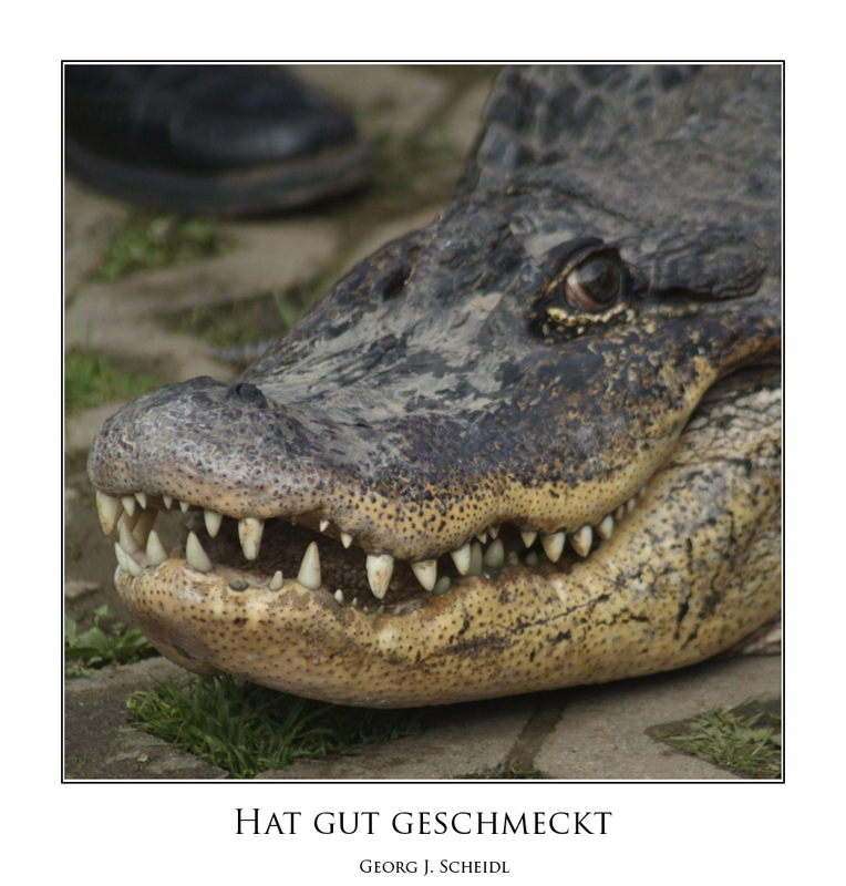 Es war einmal einer Namens "Crocodile Dundee"