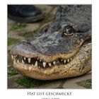 Es war einmal einer Namens "Crocodile Dundee"