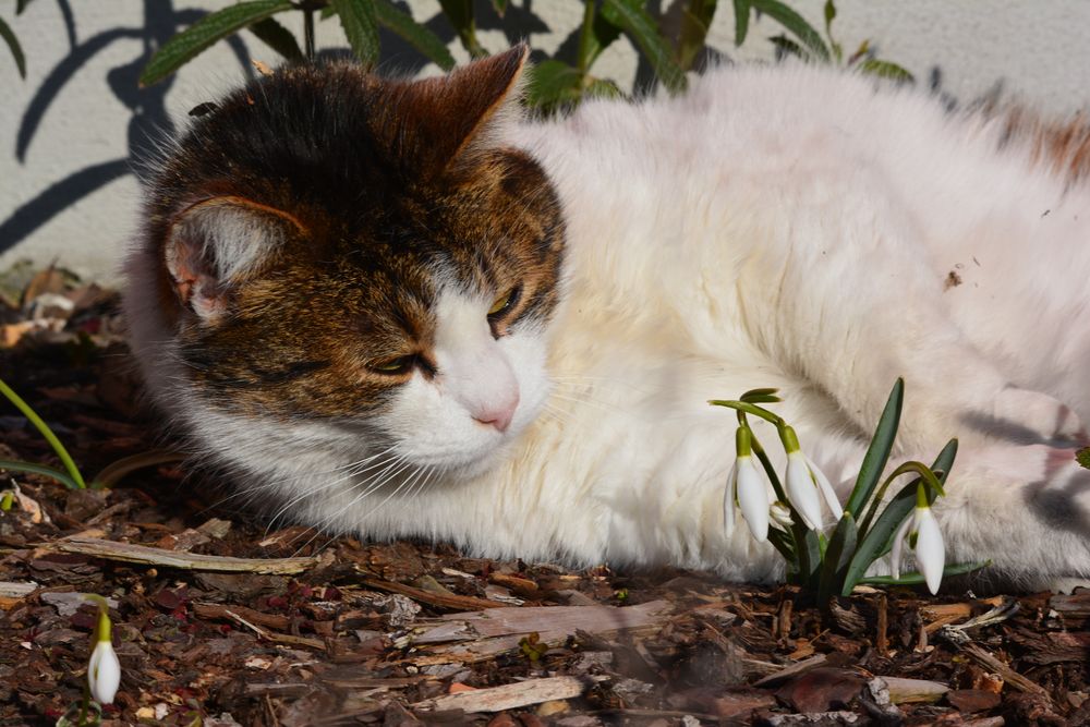 es war einmal frühling