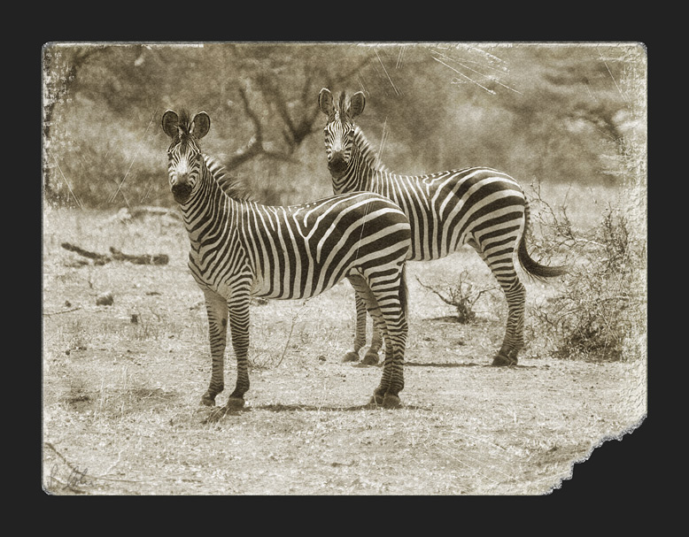 Es war einmal in Afrika oder: Das doppelte Lottchen