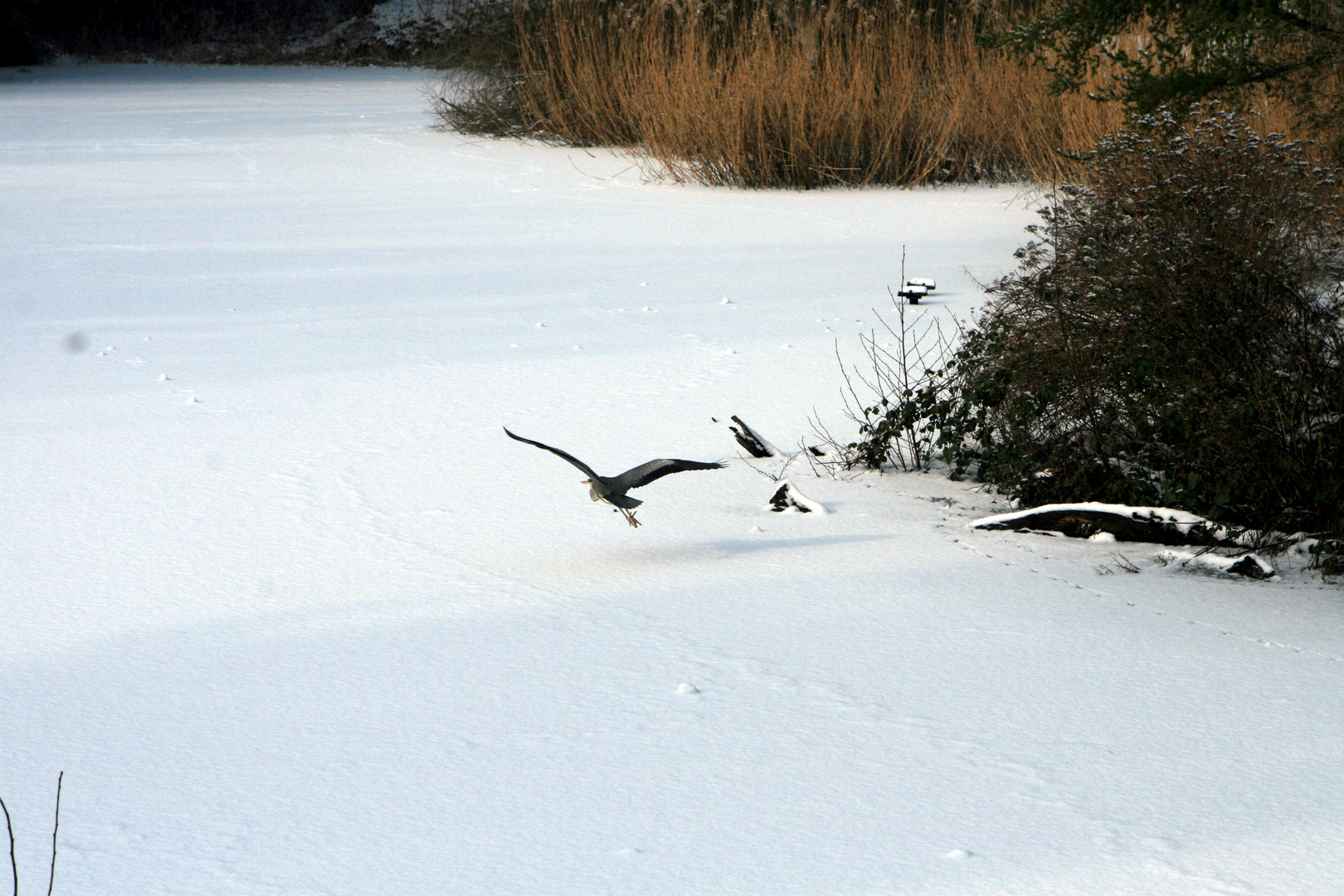 Es war einmal Winter in Berlin