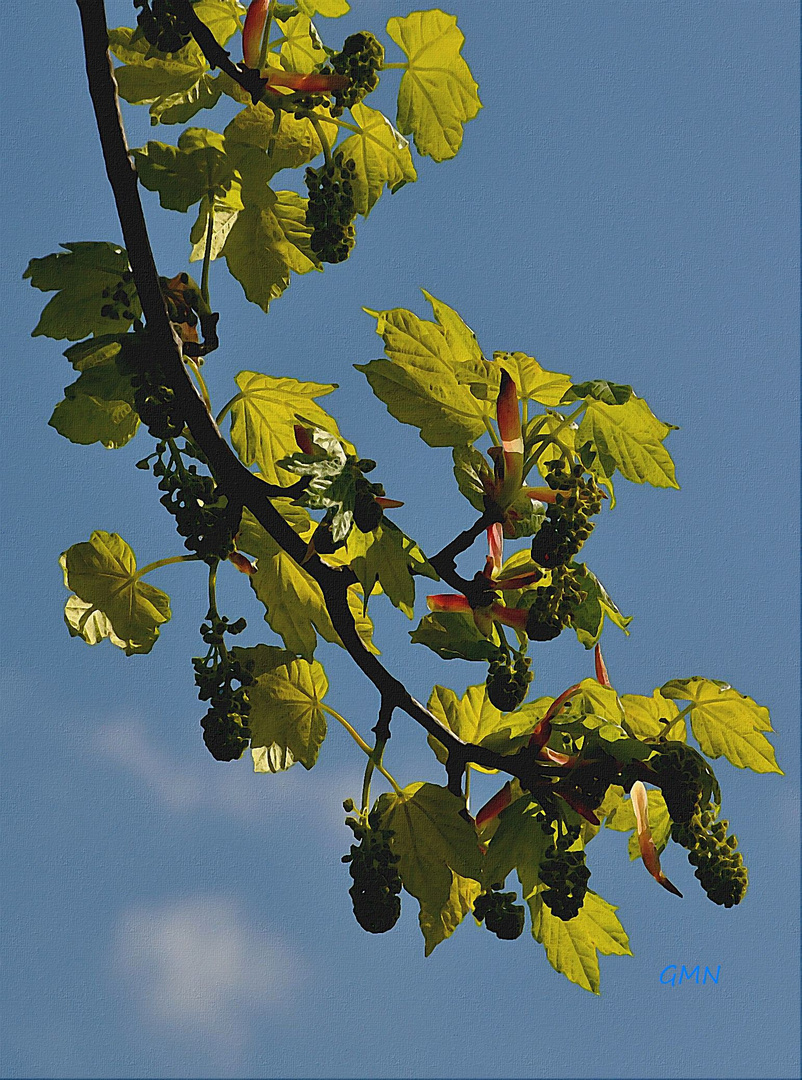 Es war Frühling