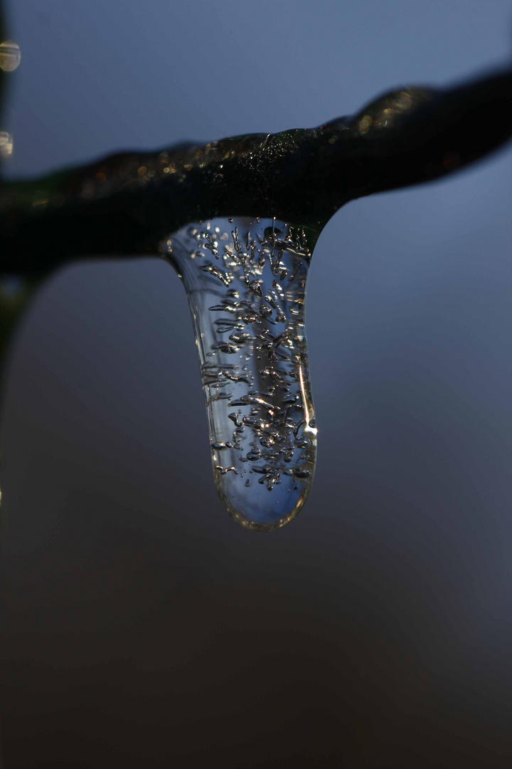 es war gestern noch ein Wassertropfen...