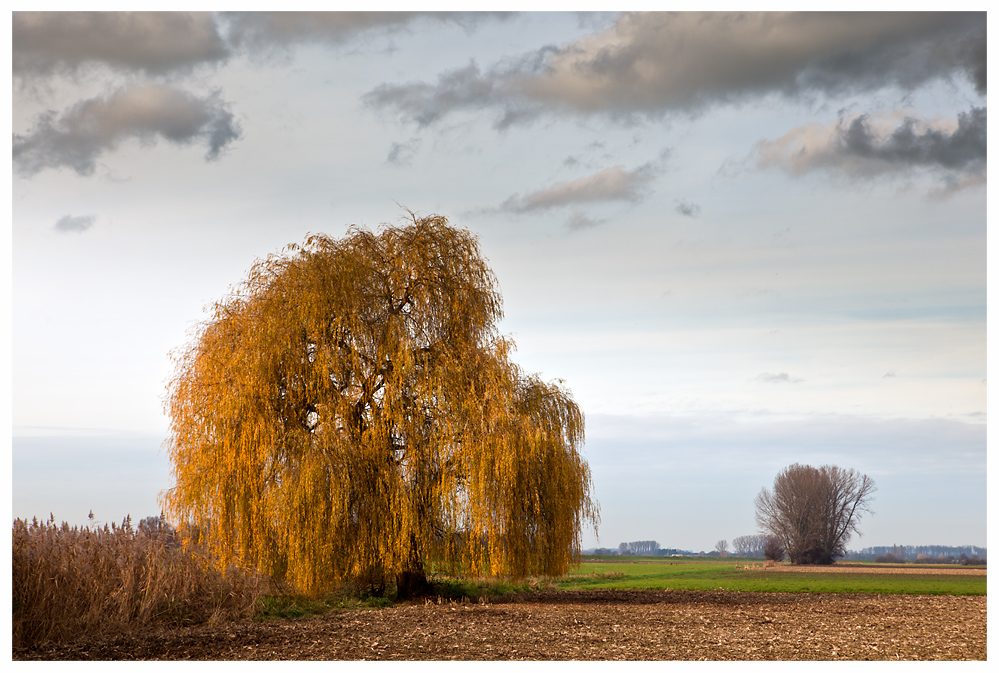 ....es war Herbst