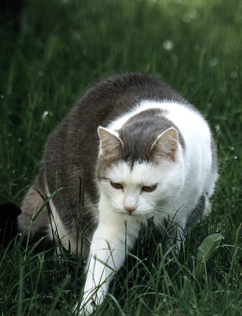 Es war ihr letzter Sommer !