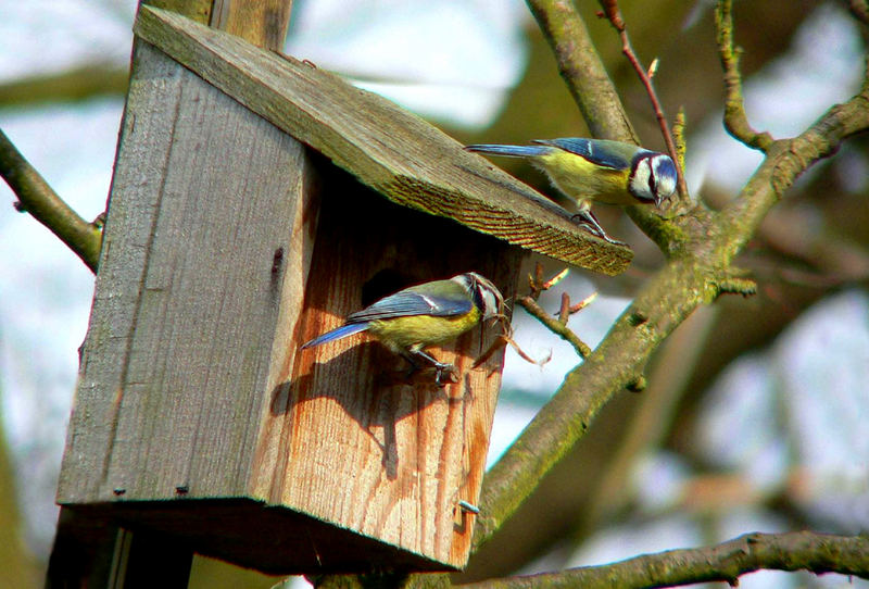 Es war im Frühling