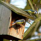 Es war im Frühling