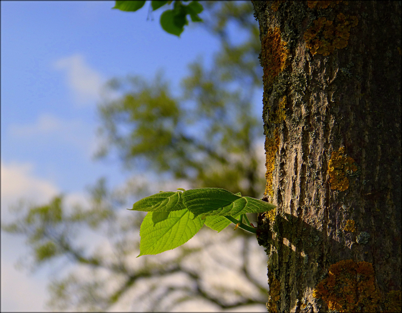 Es war im Frühling...