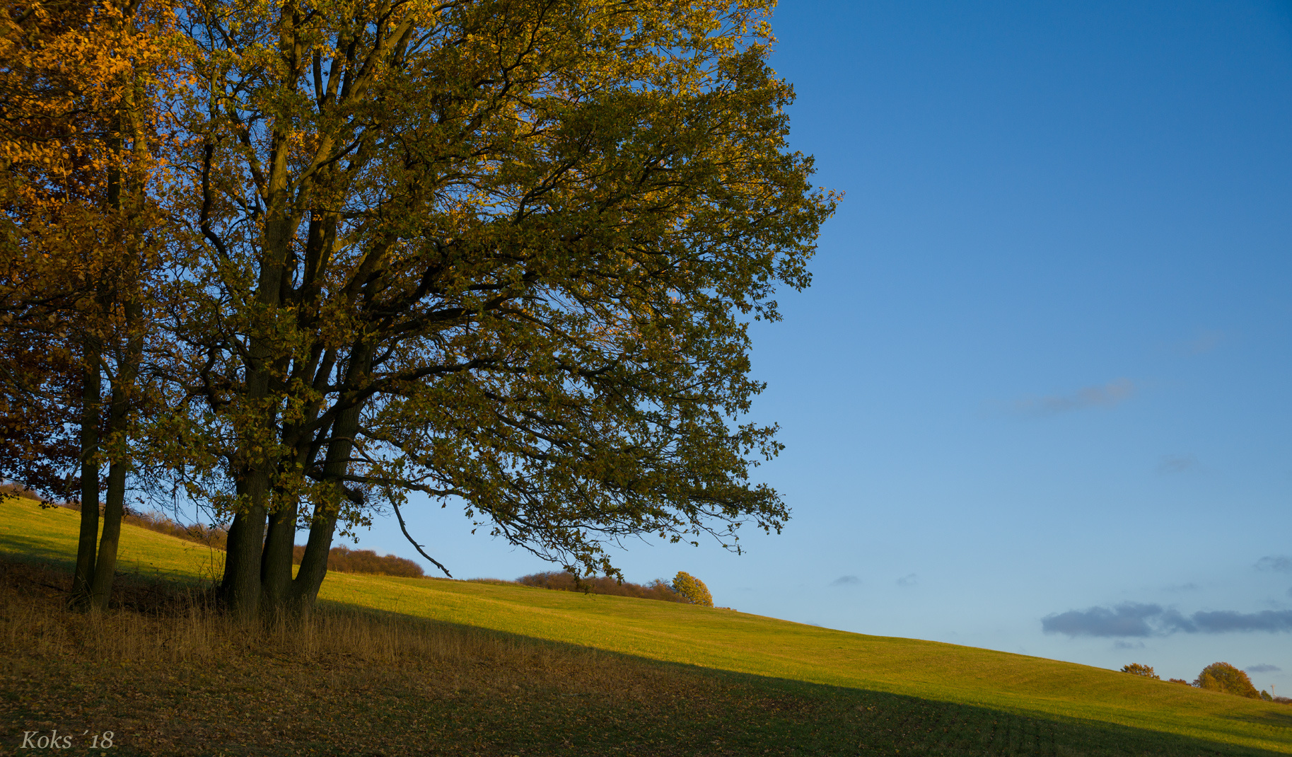 es war im Herbst