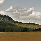 - es war im letzten Sommer - Bärenstein