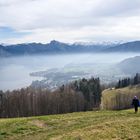 Es war kein Nebel, aber mehr als nur Dunst beim Blick vom Gmundnerberg zur Traunsee hinunter