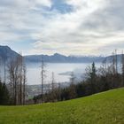 Es war kein Nebel, aber mehr als nur Dunst beim Blick vom Gmundnerberg zur Traunsee hinunter