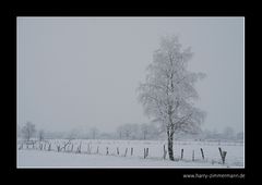 es war lange grau