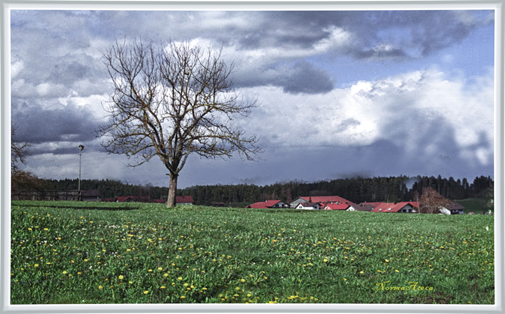 Es war mal  Frühling.