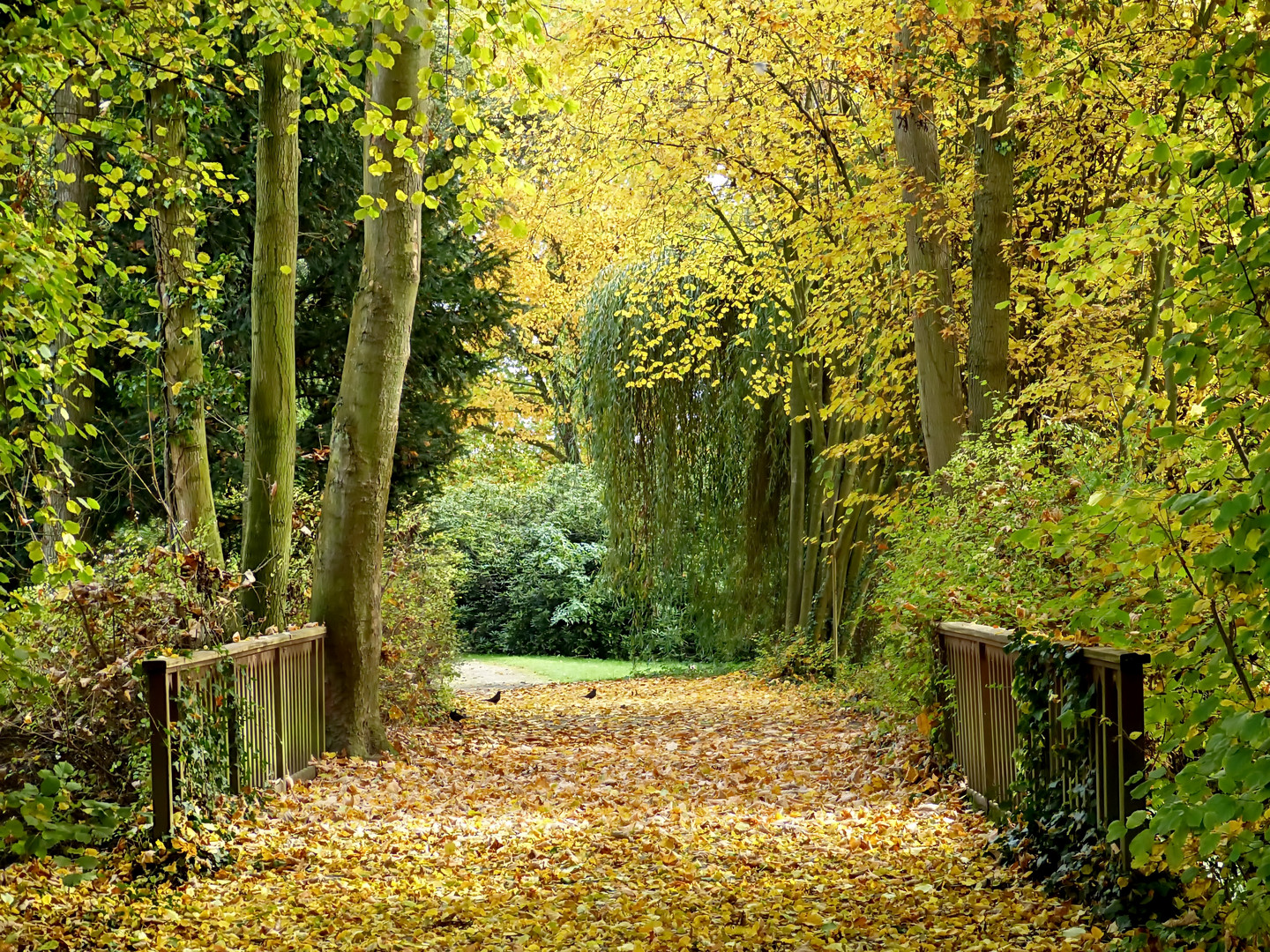 Es war noch im goldenen Oktober