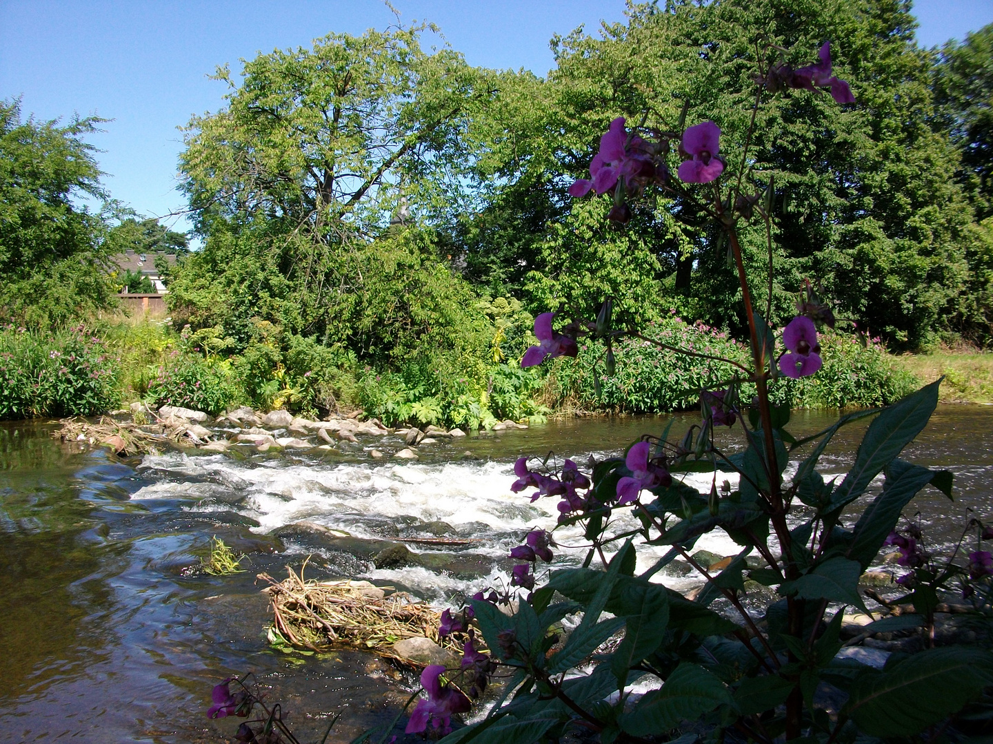 Es war Sommer! (1)