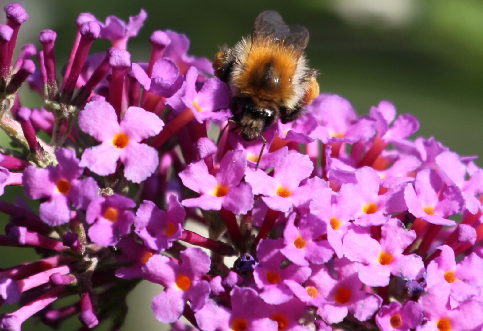 Es war sommer