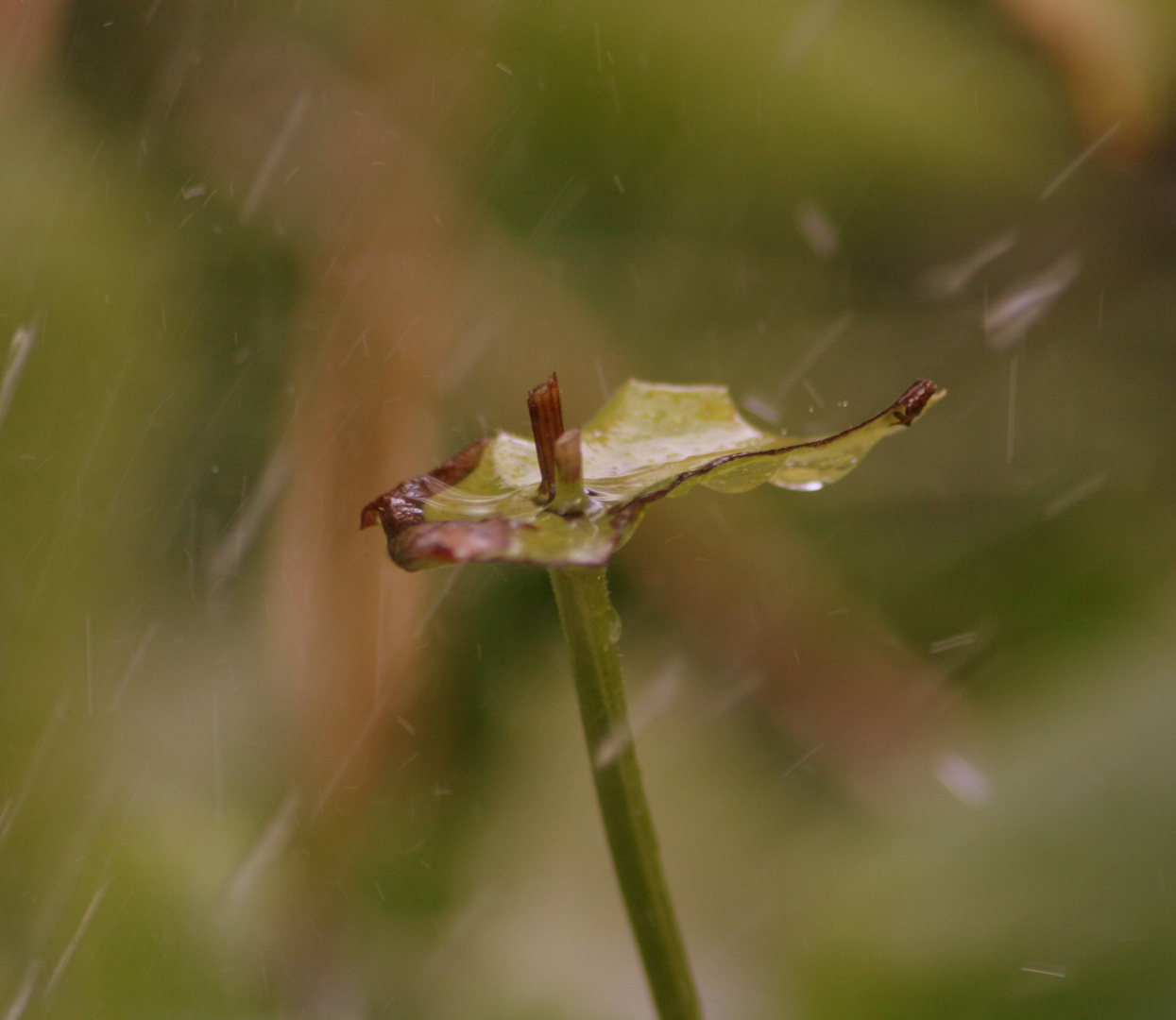 ...es war sommer...