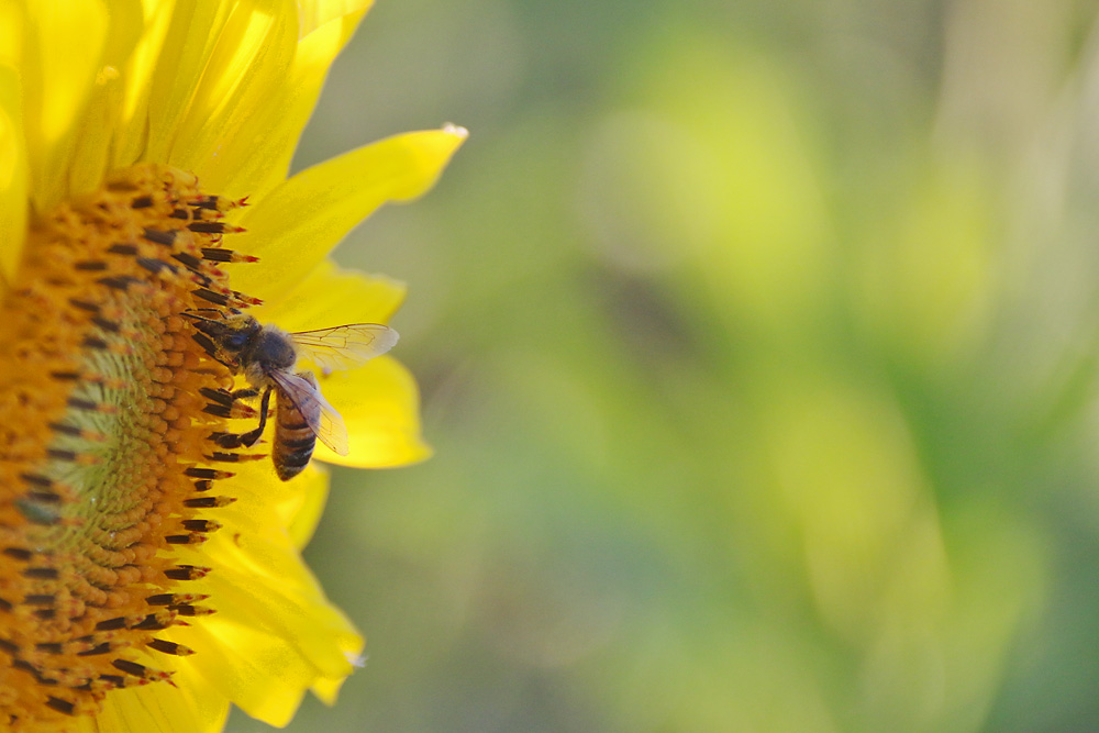 es war Sommer