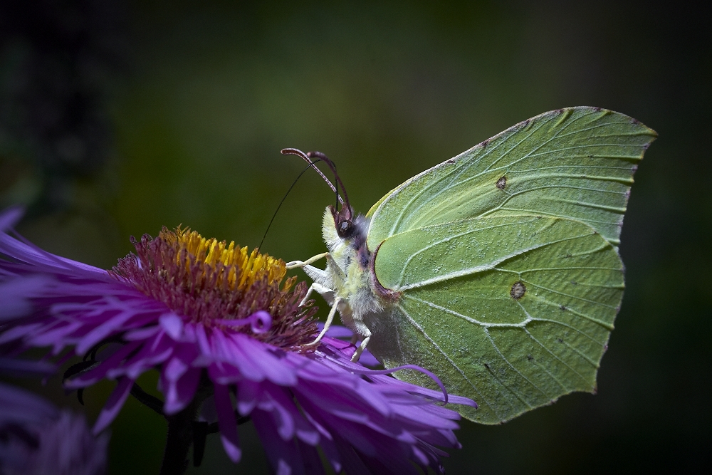 es war Sommer