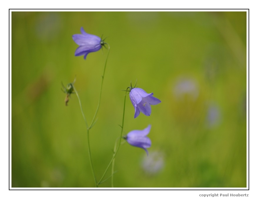 Es war Sommer