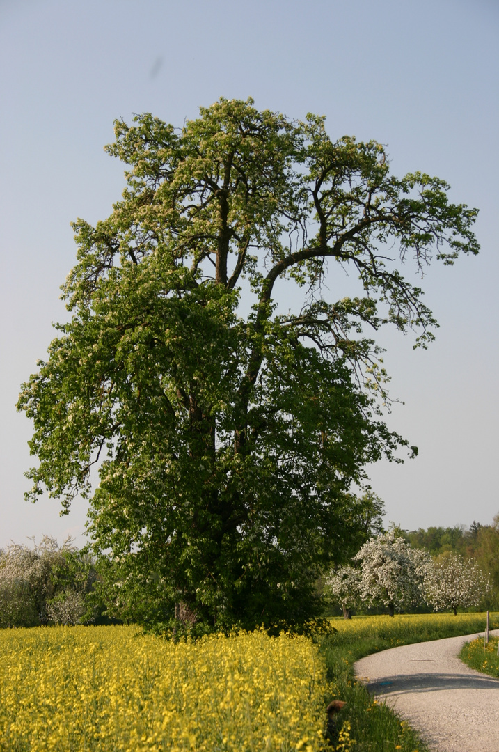 ...es war Sommer