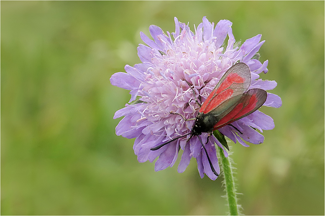  Es war Sommer...