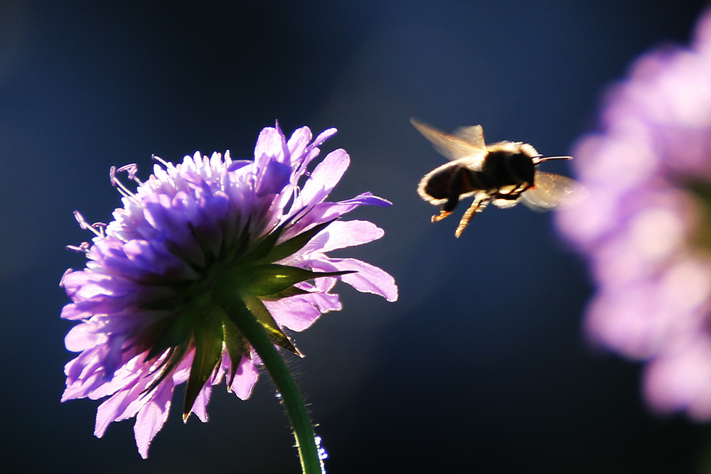 es war Sommer