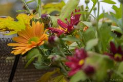 Es wechselt die Jahreszeit