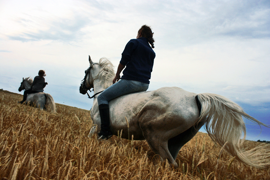 Es weht leise der wind.... galopgalop