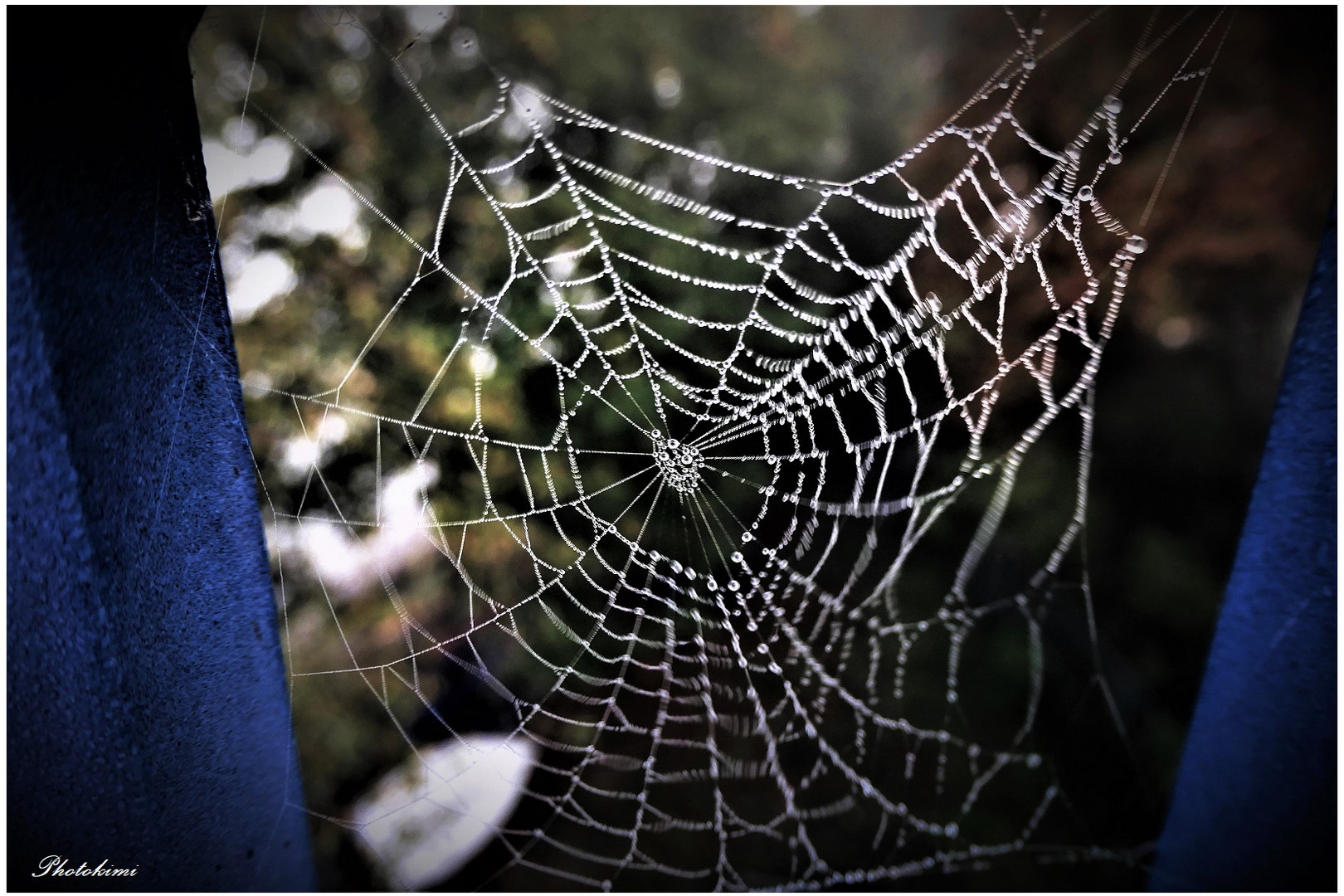 Es wehte kalter Wind, die Spinne war abwesend