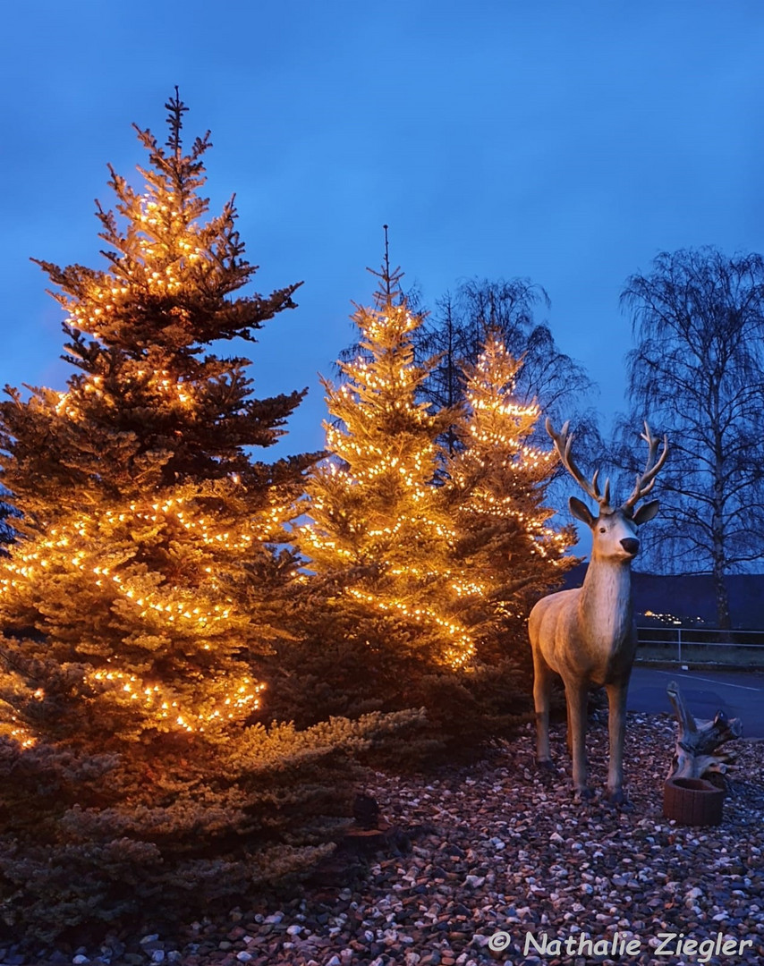 Es weihnachtet