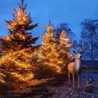 Es weihnachtet