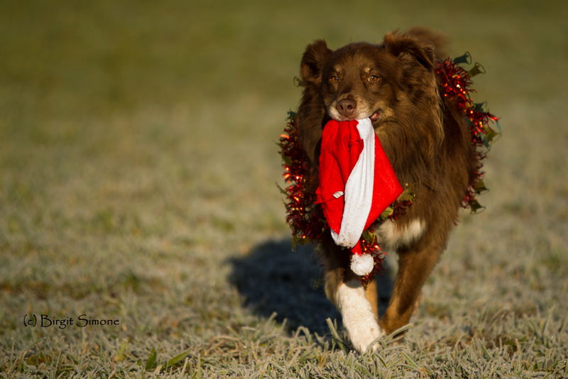 Es Weihnachtet sehr!! ;-)