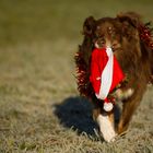 Es Weihnachtet sehr!! ;-)