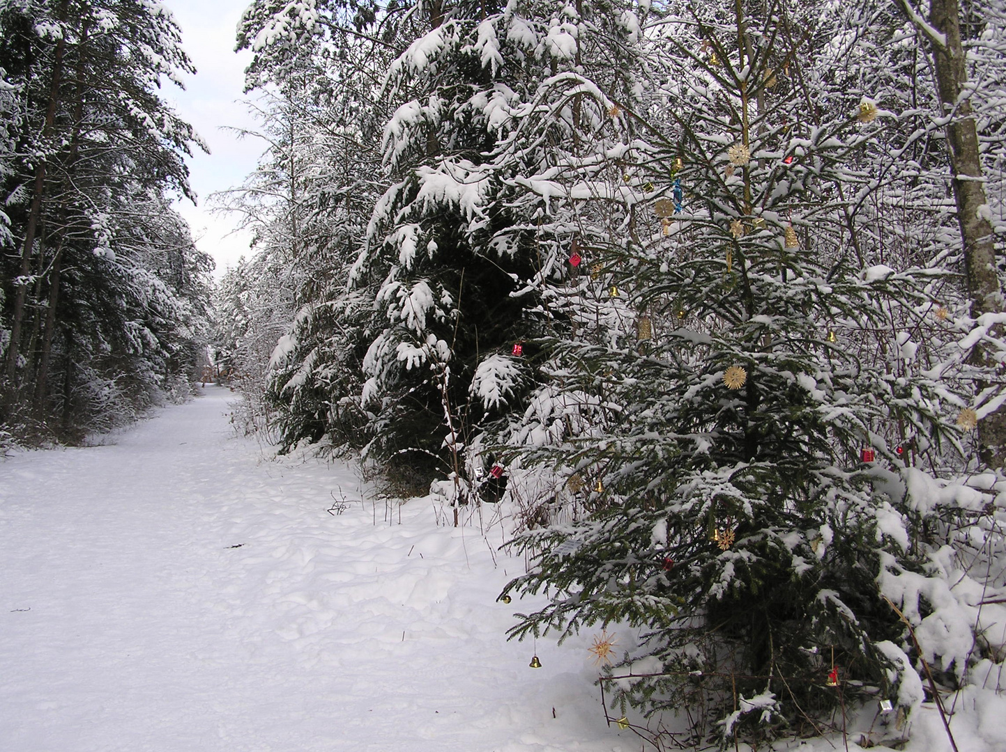 Es Weihnachtet sehr