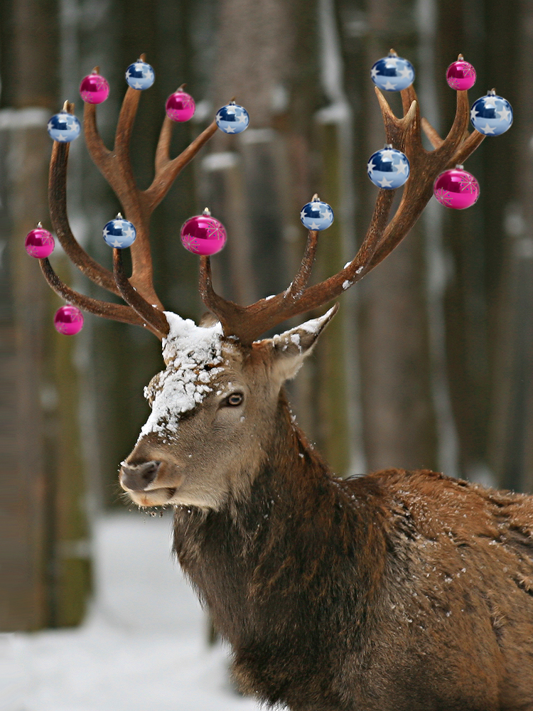 ...es weihnachtet sehr!