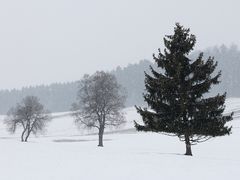 .... es weihnachtet sehr!