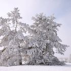 ...es weihnachtet sehr!