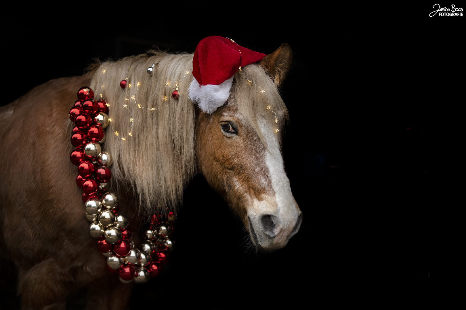 Es weihnachtet sehr..